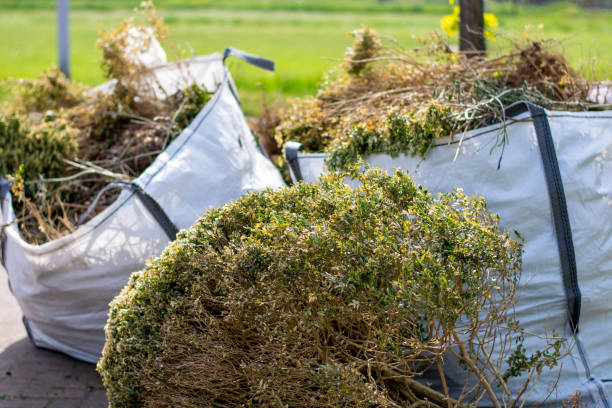 Best Electronics and E-Waste Disposal  in Union, SC